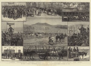 Staten i Irland, demonstrasjon på Mr Parnells eiendom, Avondale, Wicklow, venner som pløyer landet hans